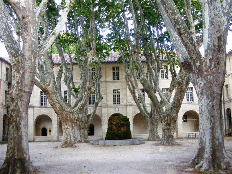 Hotel Cloitre Saint Louis Авиньон Экстерьер фото